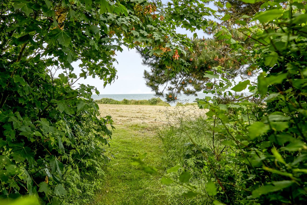 image 02